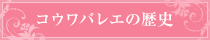 コウワバレエの歴史